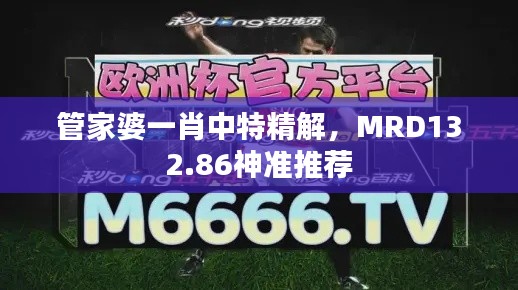 管家婆一肖中特精解，MRD132.86神準(zhǔn)推薦