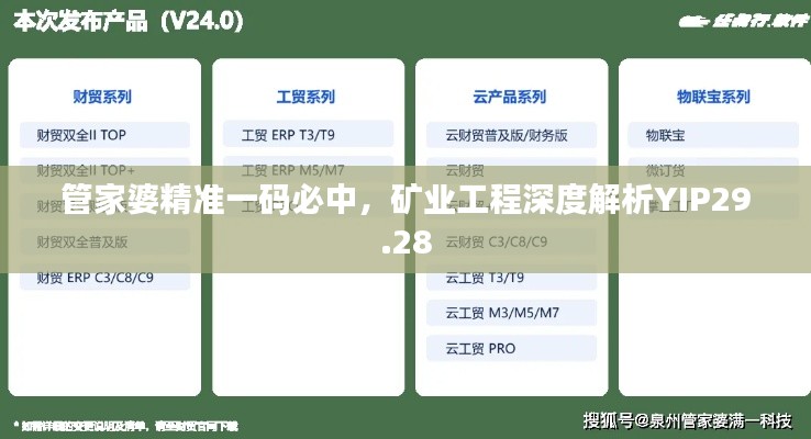 管家婆精準(zhǔn)一碼必中，礦業(yè)工程深度解析YIP29.28