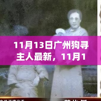 廣州狗狗尋找主人最新進(jìn)展，溫暖重逢與尋寵路上的希望（11月13日更新）