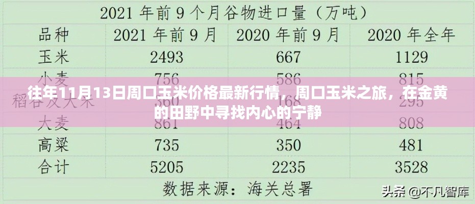 往年11月13日周口玉米價格更新，田野探索與內心寧靜之旅