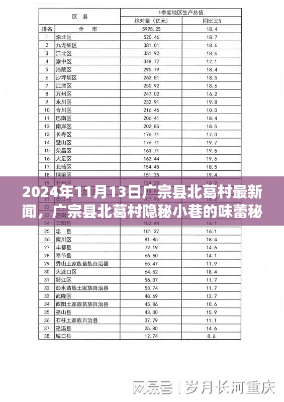 廣宗縣北葛村隱秘小巷的美食秘境，最新探秘之旅（2024年11月13日）