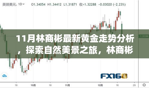 林商彬黃金走勢(shì)分析與自然美景探索，黃金與心靈的對(duì)話