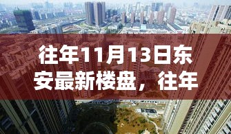 往年11月13日東安最新樓盤深度解析與探秘，熱點一覽無余