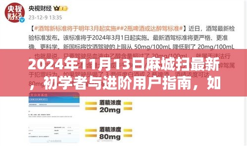 麻城掃最新技能指南，初學(xué)者與進階用戶如何掌握