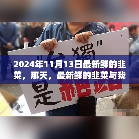 新鮮韭菜與溫馨故事，2024年11月13日的邂逅