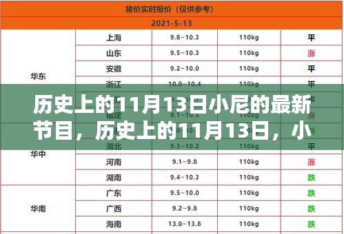 小尼最新節(jié)目深度解析，歷史上的十一月十三日