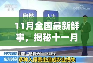 揭秘十一月全國新鮮事，熱點聚焦與科普解讀