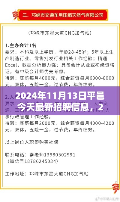 2024年11月13日平邑最新招聘信息匯總