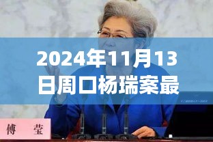 楊瑞案背后的故事，變化的力量與自信的重生最新進(jìn)展，周口楊瑞案深度剖析（2024年11月13日）