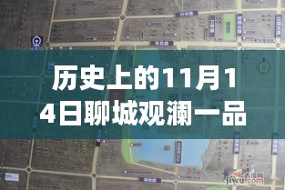 聊城觀瀾一品揭秘之旅，11月14日最新動(dòng)態(tài)探秘隱藏小巷