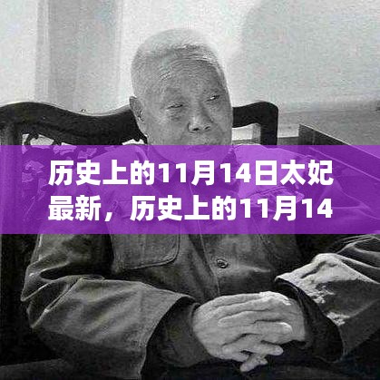 歷史上的11月14日太妃傳奇，最新解讀與影響全解析