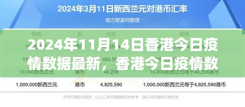 2024年11月14日香港疫情數(shù)據(jù)報告，最新分析與觀察思考