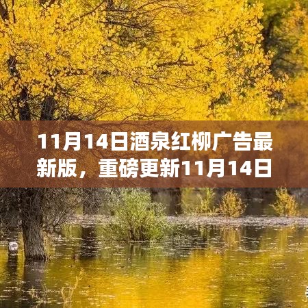 11月14日酒泉紅柳廣告最新版，重磅更新，精彩紛呈