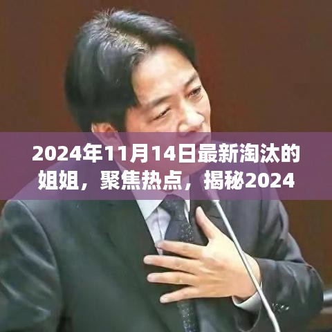 揭秘，2024年11月14日最新淘汰的姐姐背后的故事與熱點聚焦