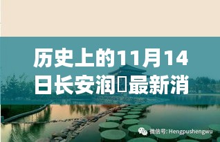 長安潤璟秘境探索，歷史與美食的碰撞時(shí)刻，最新消息揭秘秘密小店