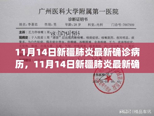 新疆肺炎最新確診病歷動態(tài)分析與更新（11月14日）