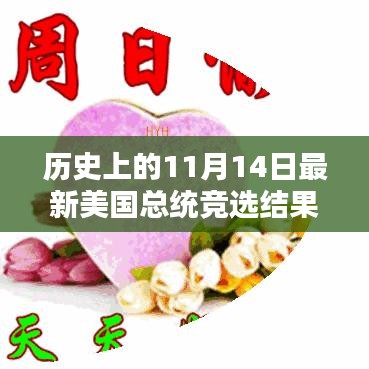 歷史上的11月14日美國總統(tǒng)競選結(jié)果深度解析與回顧