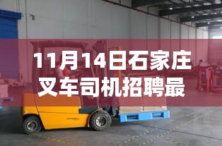 11月14日石家莊叉車司機招聘最新消息深度解析與介紹