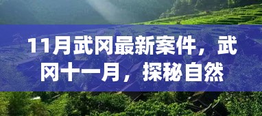 武岡十一月最新案件與探尋自然美景之旅