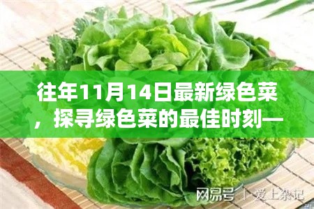 探尋綠色菜的最佳時(shí)刻，以往年11月14日為例的蔬菜盛宴