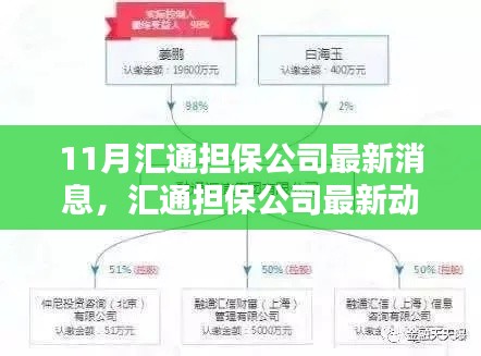 匯通擔(dān)保公司最新動態(tài)解析及觀點探析，11月最新消息速遞