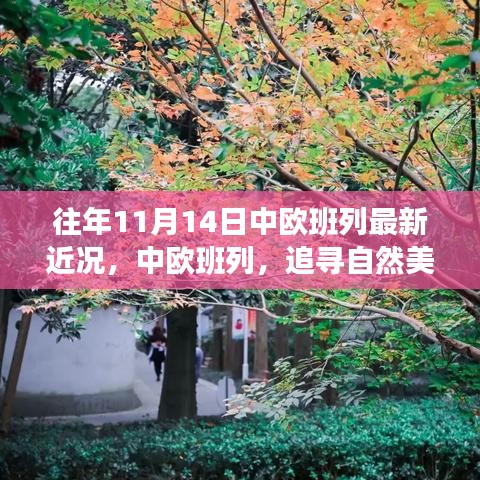 中歐班列秋日序曲，追尋自然美景與內(nèi)心寧靜之旅的最新近況