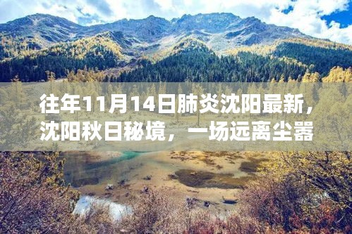 沈陽(yáng)秋日秘境，肺炎時(shí)期的自然探索之旅