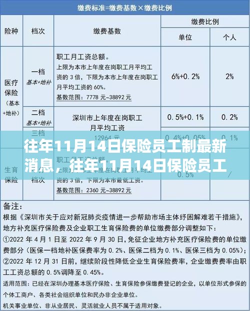 三大要點(diǎn)深度解讀，往年11月14日保險員工制最新消息與更新解讀