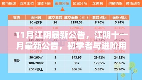 江陰十一月最新公告發(fā)布，初學(xué)者與進(jìn)階用戶(hù)指南詳解