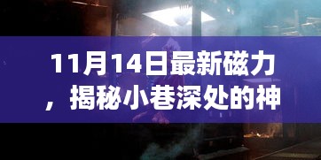 揭秘神秘寶藏，11月14日最新磁力小巷小店探秘之旅