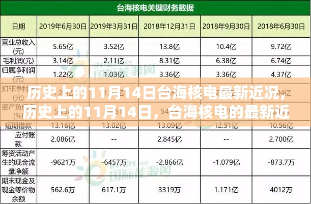 歷史上的11月14日，臺(tái)海核電的最新近況及其影響分析概覽