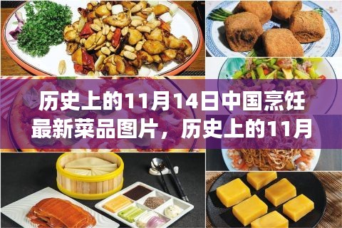 11月14日中國烹飪新菜品圖片展示，歷史菜品深度評測與介紹