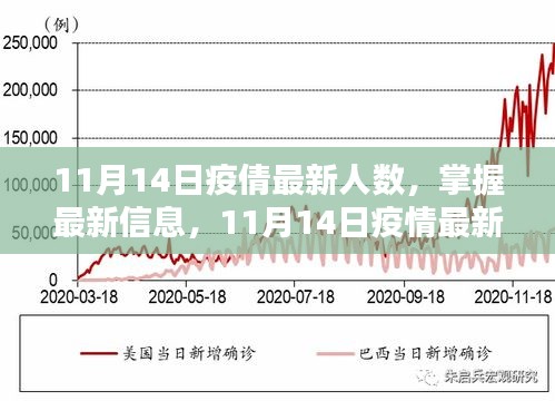 11月14日疫情最新人數(shù)查詢指南，掌握最新信息