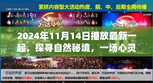 探尋自然秘境，心靈之旅啟程于2024年11月14日