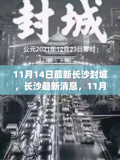 長沙封城最新消息，11月14日封城通知詳解，小紅書帶你掌握最新動態(tài)