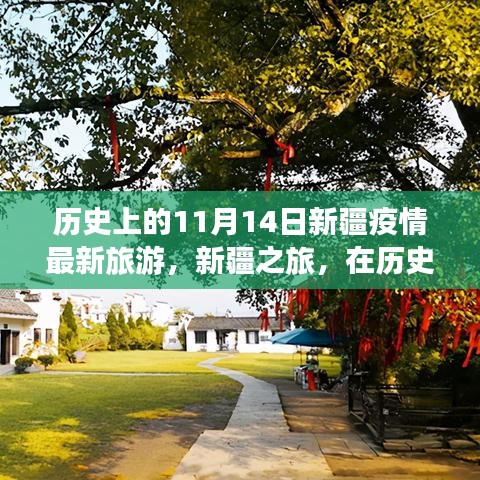 歷史的11月14日，新疆疫情最新旅游動(dòng)態(tài)與心靈之旅的寧靜與奇跡探尋