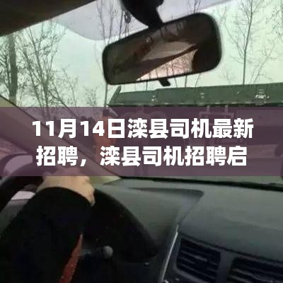 11月14日灤縣司機(jī)招聘啟事，最新職位空缺，開啟職業(yè)新征程