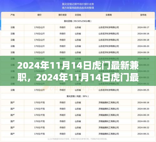 2024年11月14日虎門最新兼職，機(jī)遇與挑戰(zhàn)并存