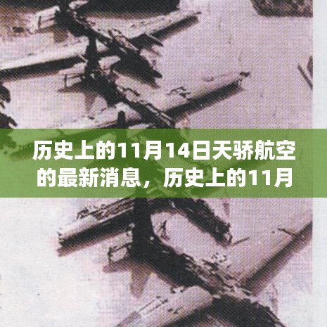 歷史上的天驕航空，探尋自然美景與心靈寧靜之旅的啟程日——11月14日最新消息