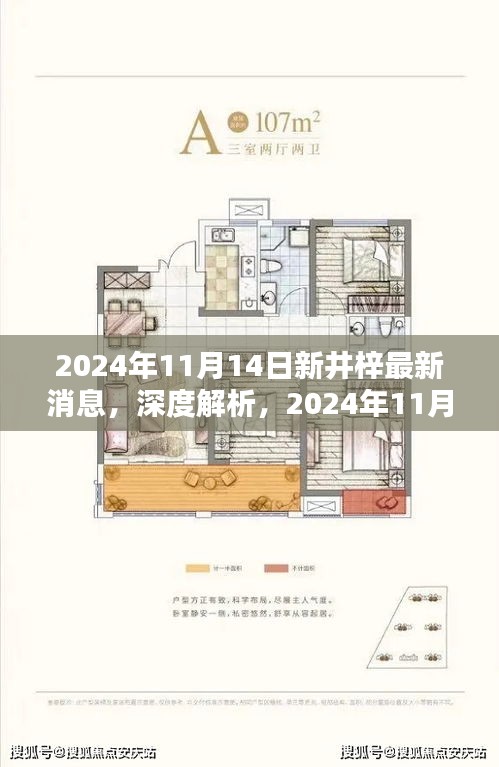 深度解析，2024年11月14日新井梓產(chǎn)品最新消息揭秘，特性、用戶體驗與目標用戶群體探討