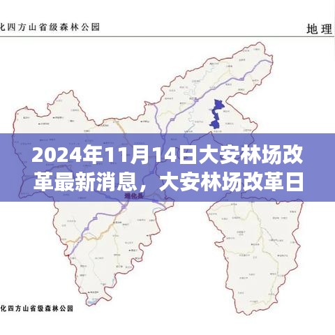 大安林場(chǎng)改革故事會(huì)，最新消息與溫馨改革之旅（2024年11月14日）