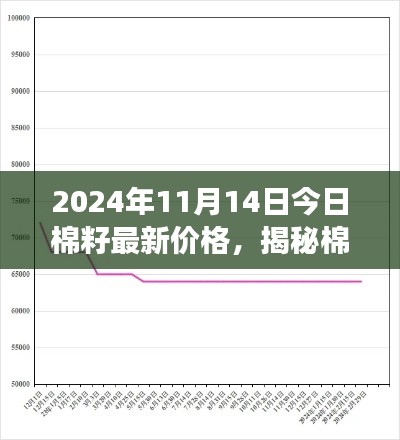 揭秘棉籽市場走勢，最新價格動態(tài)分析與預測（2024年11月14日）