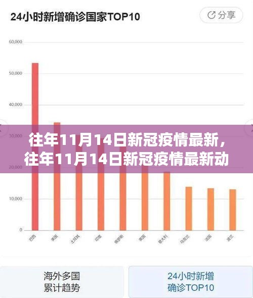 往年11月14日新冠疫情最新動態(tài)概覽及要點(diǎn)解析