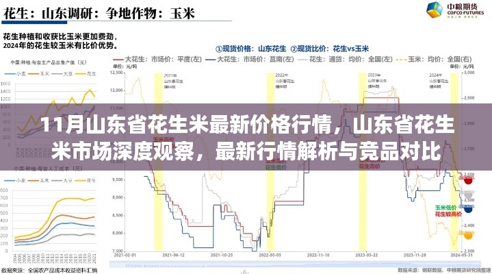 11月山東省花生米最新價(jià)格行情，山東省花生米市場深度觀察，最新行情解析與競品對(duì)比