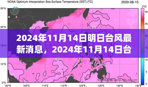 臺(tái)風(fēng)最新消息深度評(píng)測(cè)，特性、體驗(yàn)、競(jìng)品對(duì)比與用戶分析（2024年臺(tái)風(fēng)動(dòng)態(tài)）