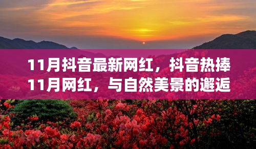 抖音熱捧的11月網(wǎng)紅，與自然美景的邂逅與內(nèi)心寧?kù)o之旅