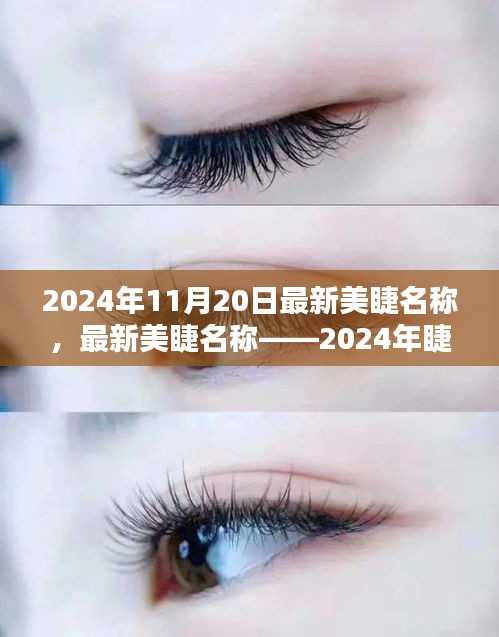 最新美睫名稱揭秘，2024年睫毛美學的革命性變革