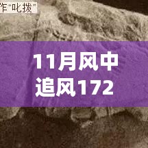 揭秘，風(fēng)中追風(fēng)最新裝備的時(shí)代地位與影響，逐風(fēng)而行，價(jià)值高達(dá)172萬(wàn)裝備重磅登場(chǎng)！