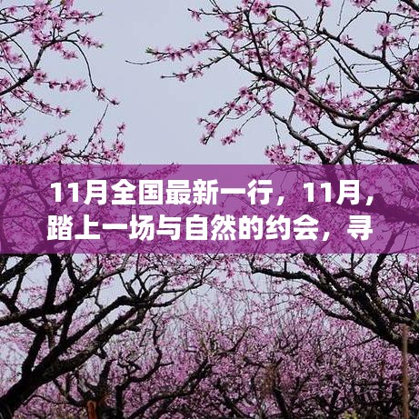 11月踏自然之旅，內(nèi)心的桃花源探尋記