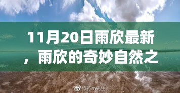 雨欣的11月20日奇妙探險(xiǎn)，自然之旅尋找心靈寧?kù)o與笑聲